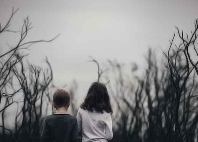 引领数字变革的器测压文章